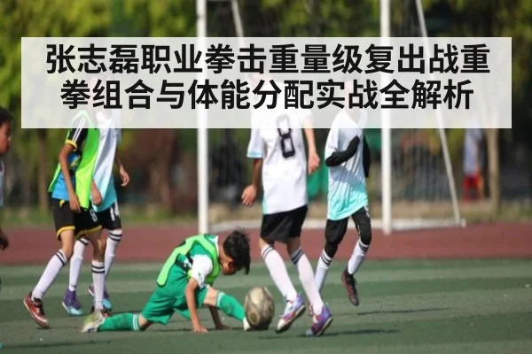 张志磊职业拳击重量级复出战重拳组合与体能分配实战全解析